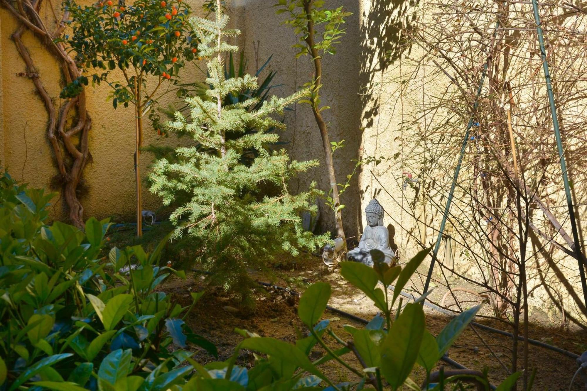 τhe Hidden Garden Corfu (city)