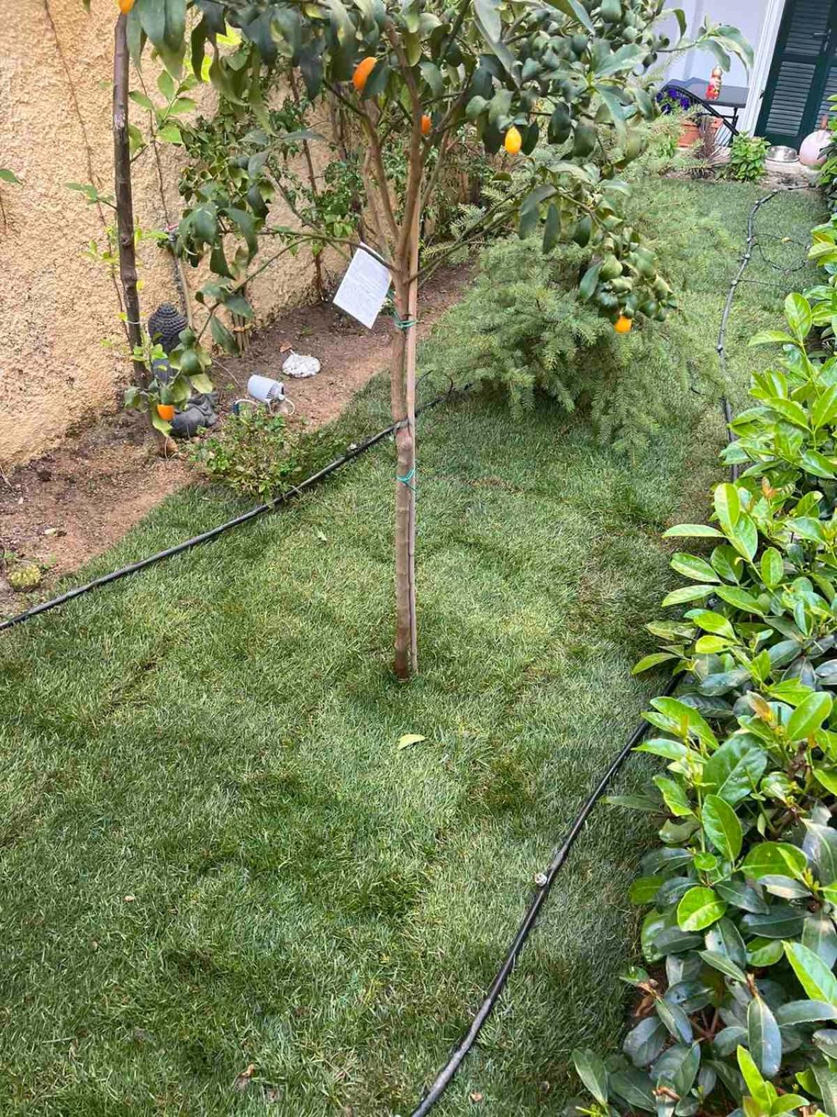 τhe Hidden Garden *